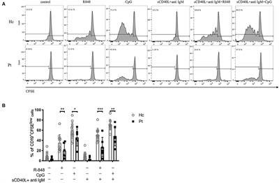 Defective Toll-Like Receptors Driven B Cell Response in Hyper IgE Syndrome Patients With STAT3 Mutations